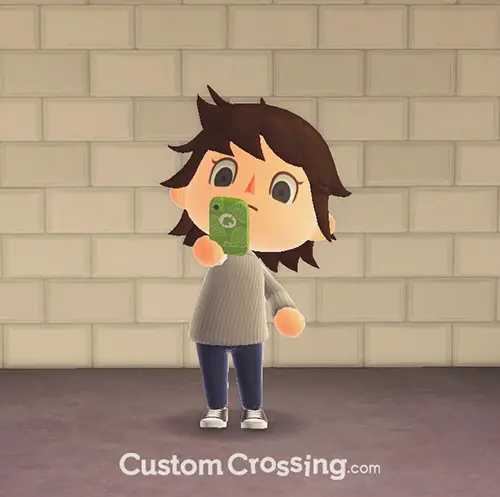 Animal Crossing: New Horizons Take a Picture Reaction